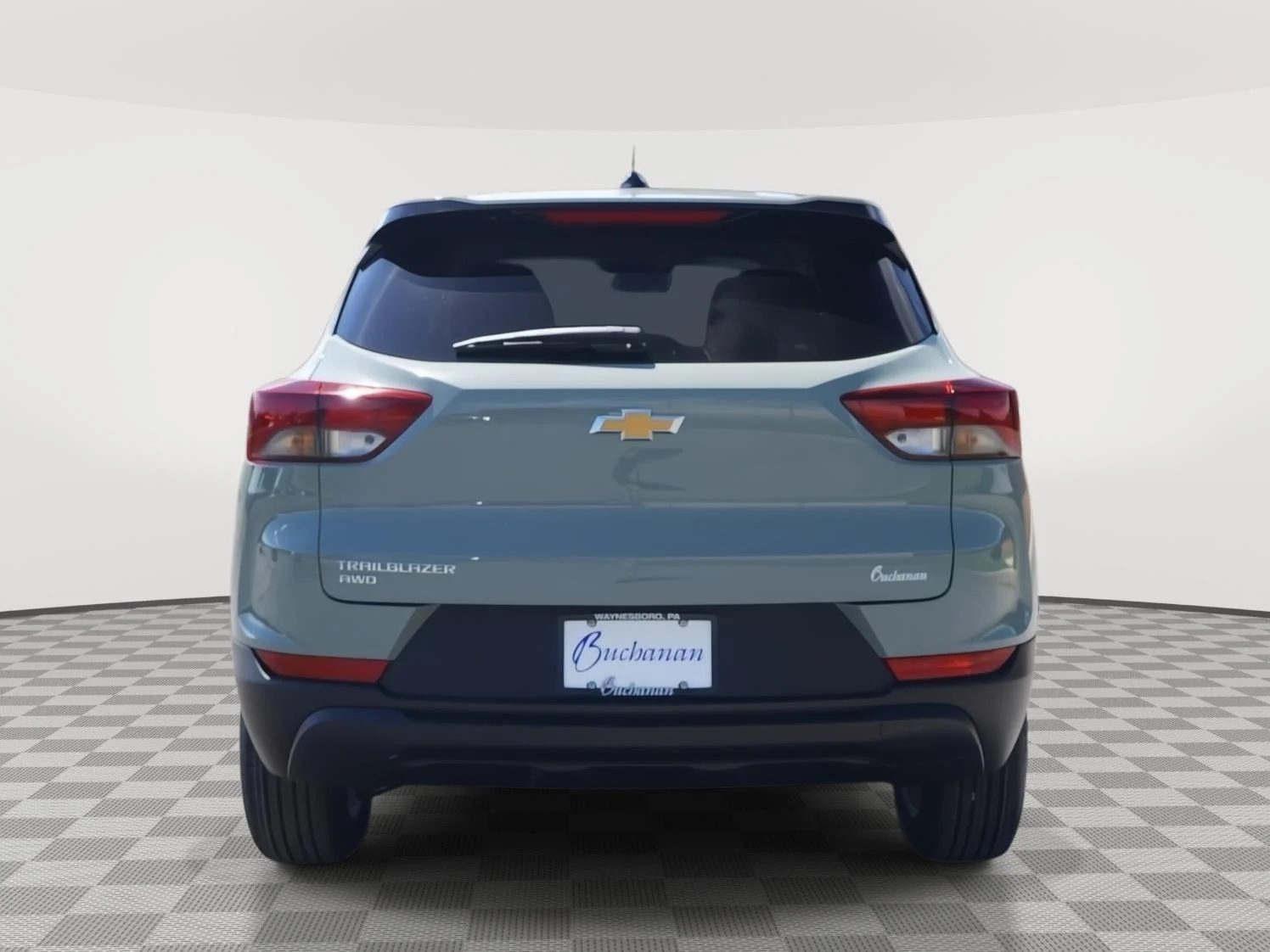New 2026 Cacti Green Chevrolet LS image 4