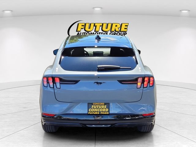 New 2025 Glacier Gray Metallic Tri-coat Ford Premium image 21