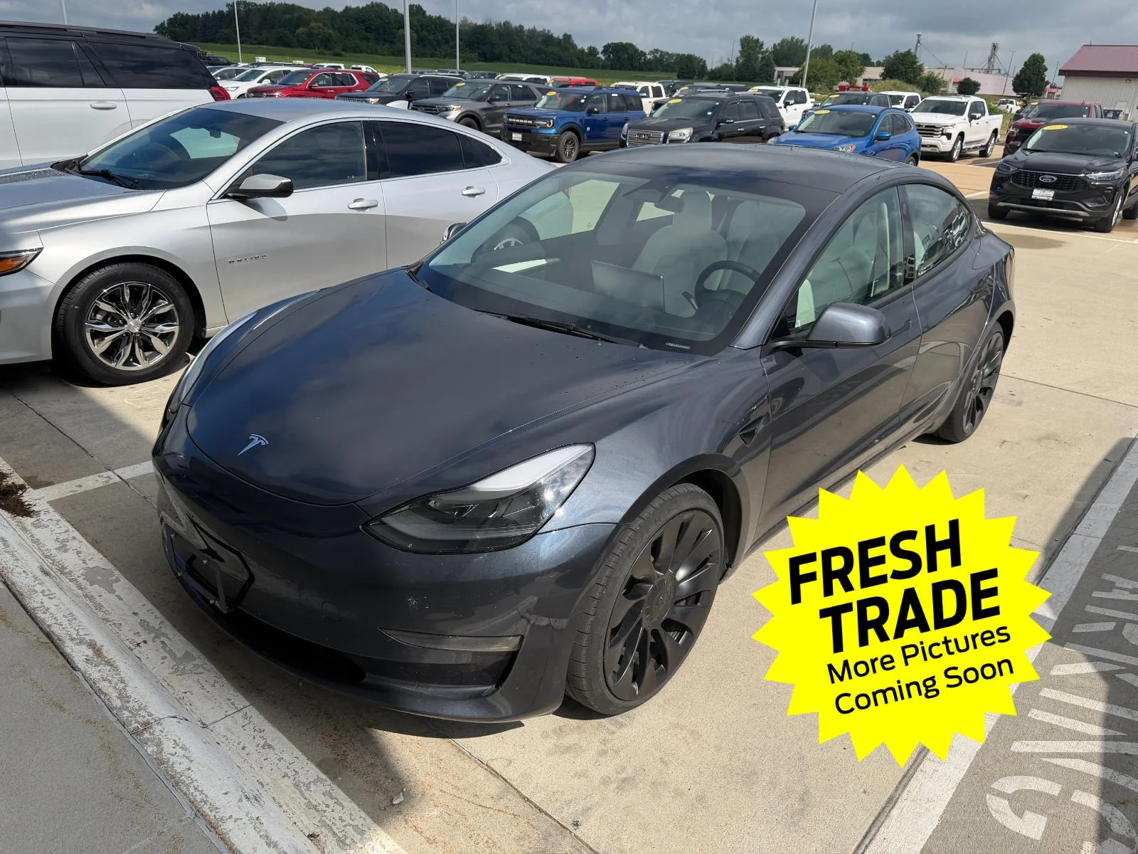 2023 Tesla Model 3 Performance's photo