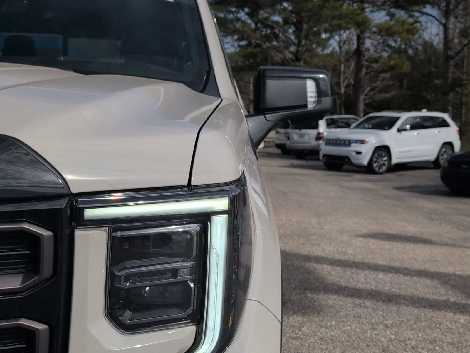New 2026 Coastal Dune GMC AT4X image 12