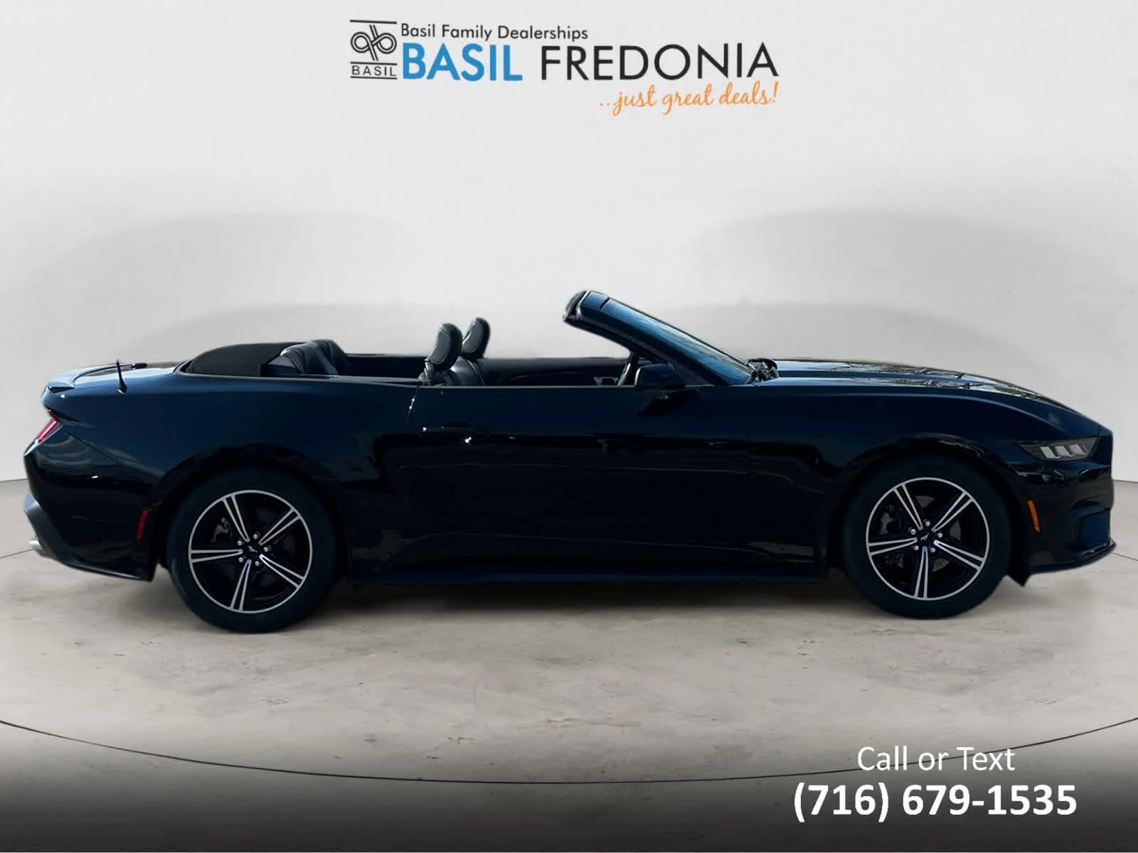 Used 2024 Shadow Black Ford EcoBoost Premium image 11