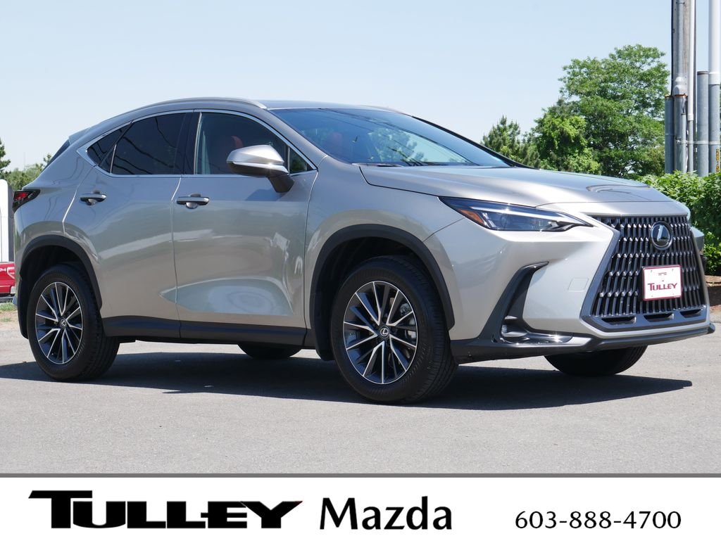 2024 Lexus NX 350 350 AWD's photo