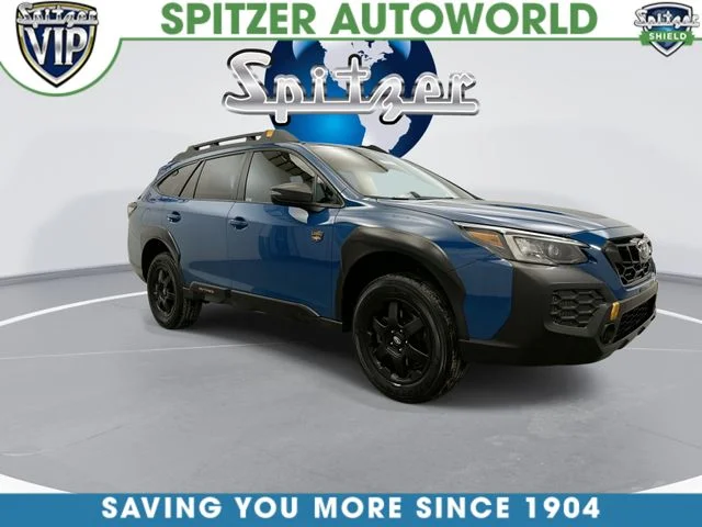 Used 2024 Blue Subaru Wilderness image 3