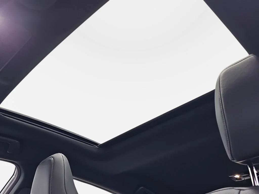 New 2026 Iridium Lexus PREMIUM image 29