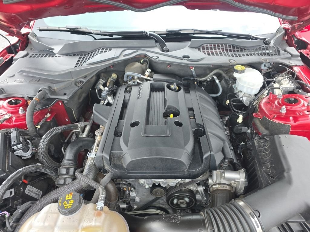 Used 2019 Red Ford EcoBoost Premium image 27