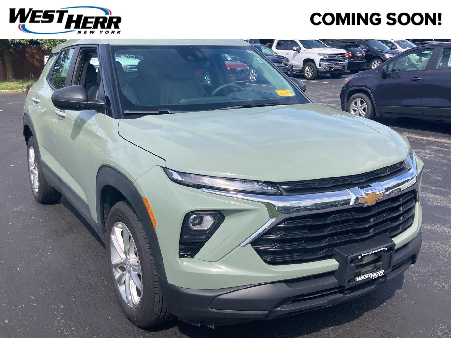 Used 2025 Cacti Green Chevrolet LS image 1
