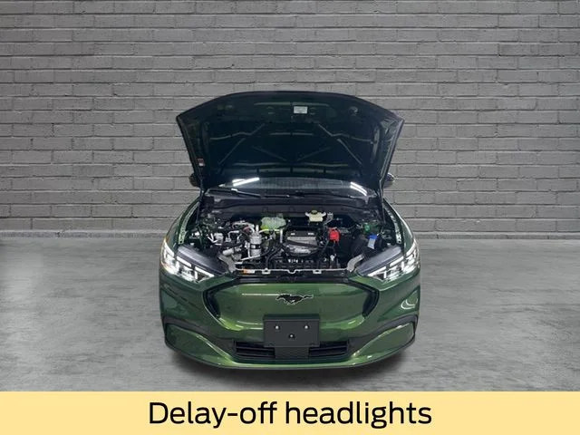 New 2026 Eruption Green Metallic Ford Premium image 17