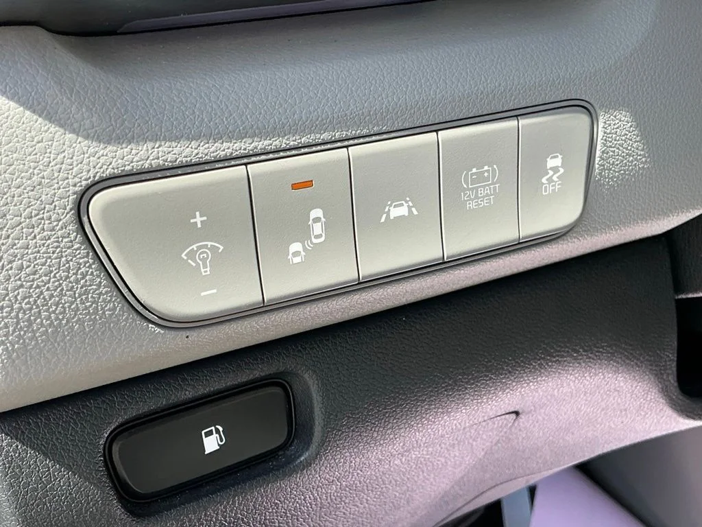 Used 2020 White Kia Touring image 25