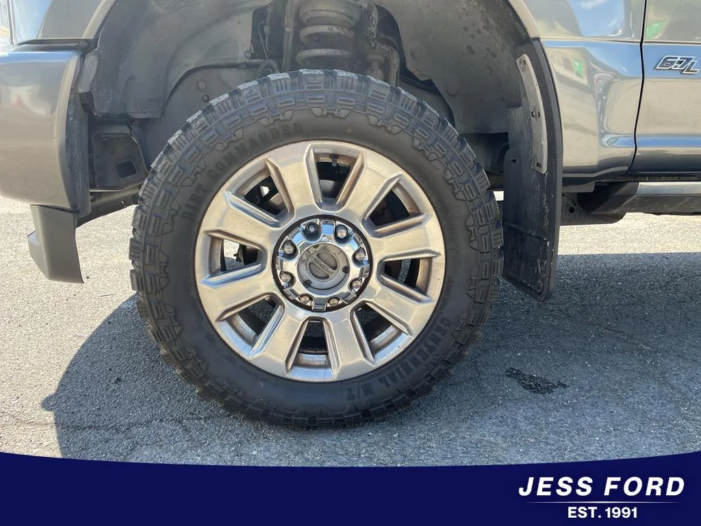 Used 2018 Magnetic Ford Platinum image 10