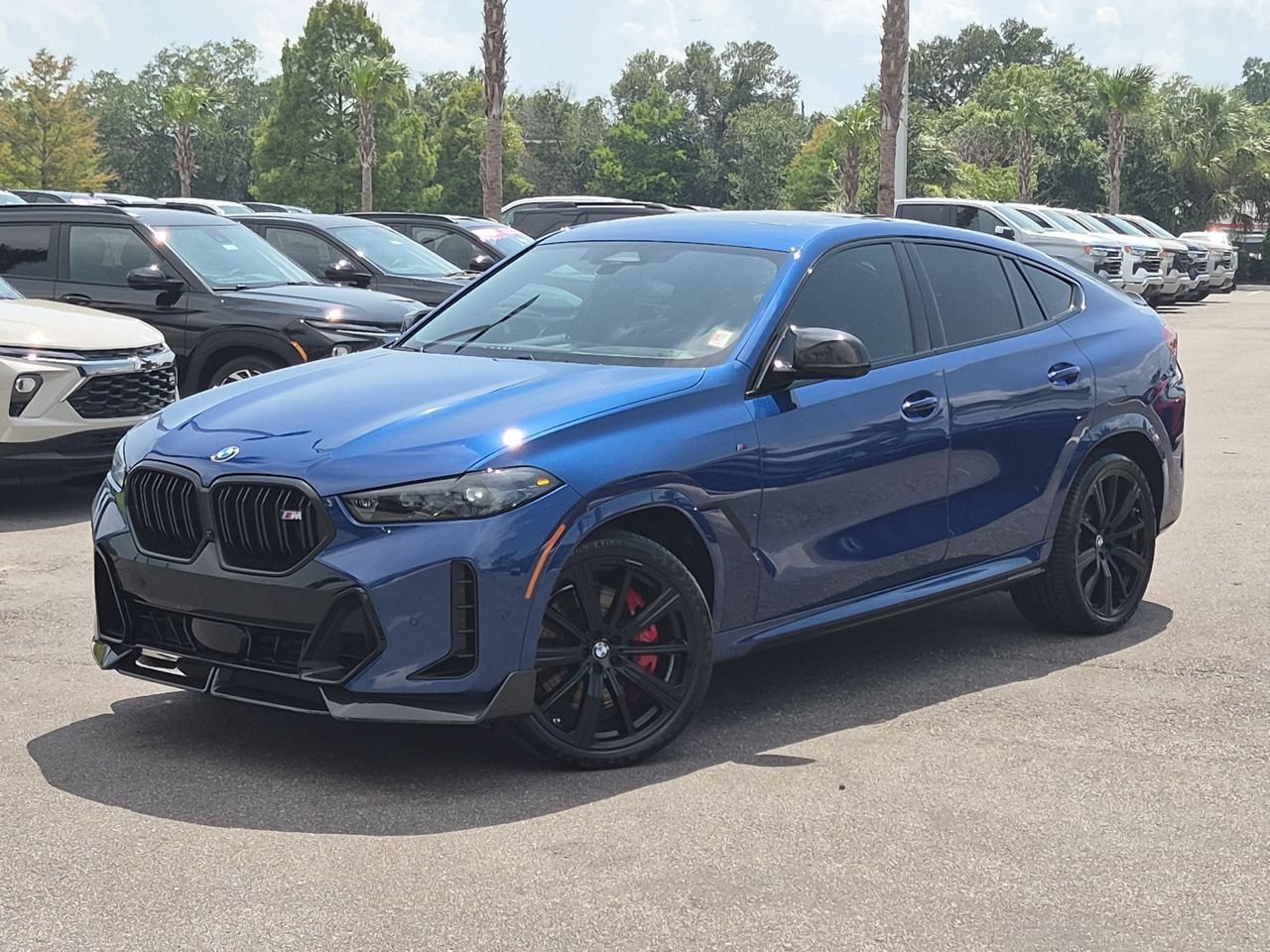 2025 BMW X6 M60i's photo