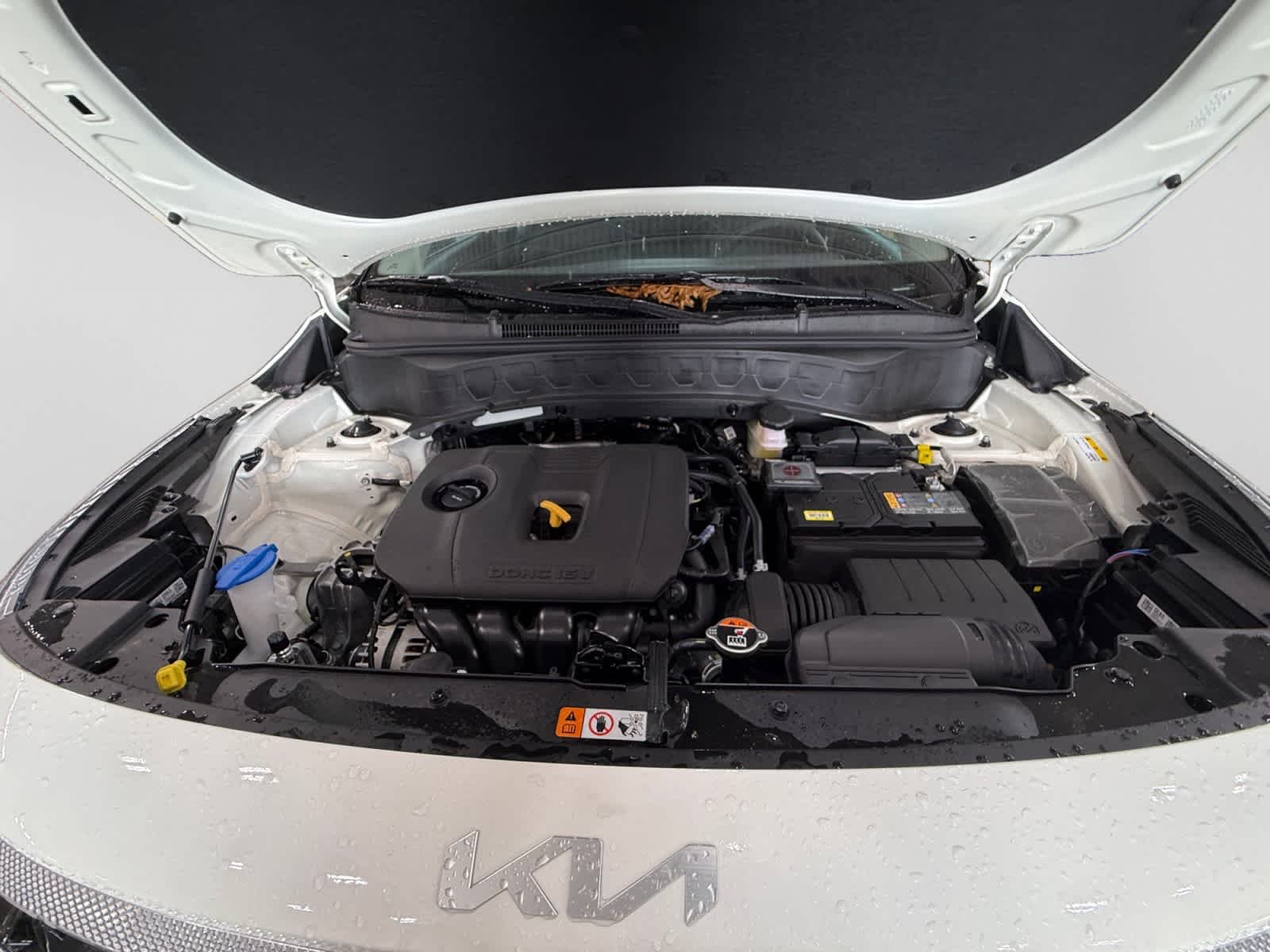 New 2026 Clear White/Black Roof Kia S image 23