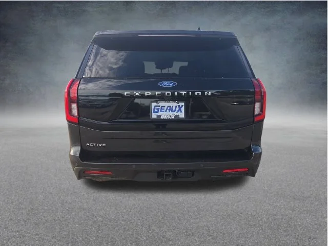 Used 2025 Gray Ford Active image 6