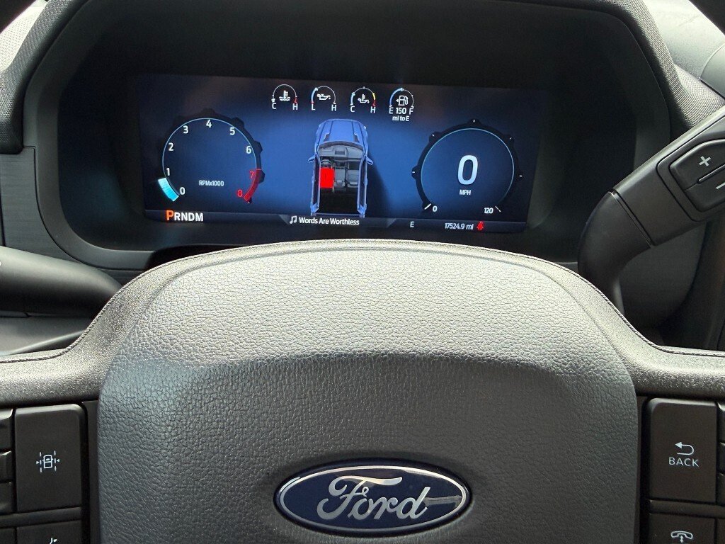 Used 2024 Agate Black Ford XL image 14