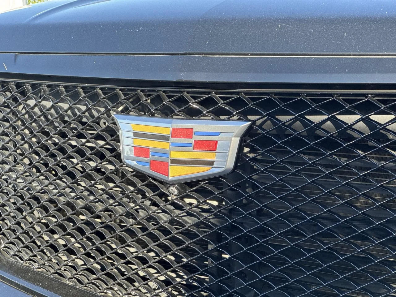 Used 2021 Black Raven Cadillac Sport Platinum image 4