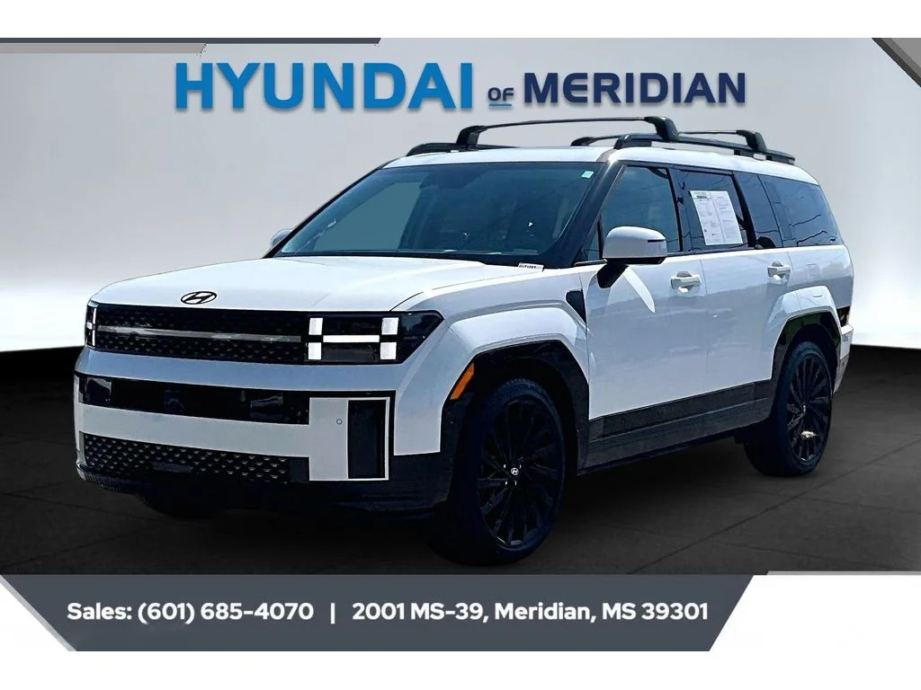 Used 2025 Serenity White Hyundai Calligraphy image 10