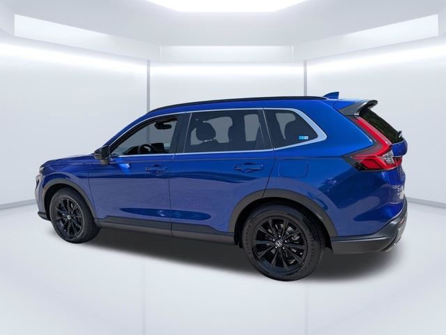 Used 2023 Blue Honda Sport image 6