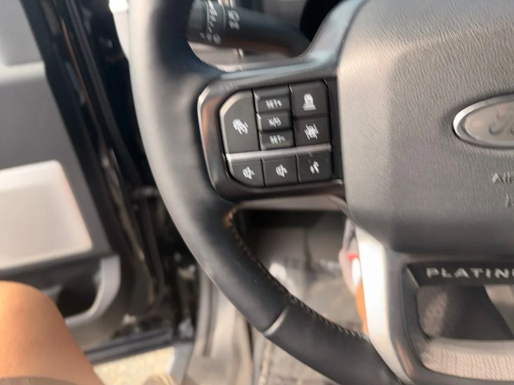 Used 2025 Black Ford Platinum image 25