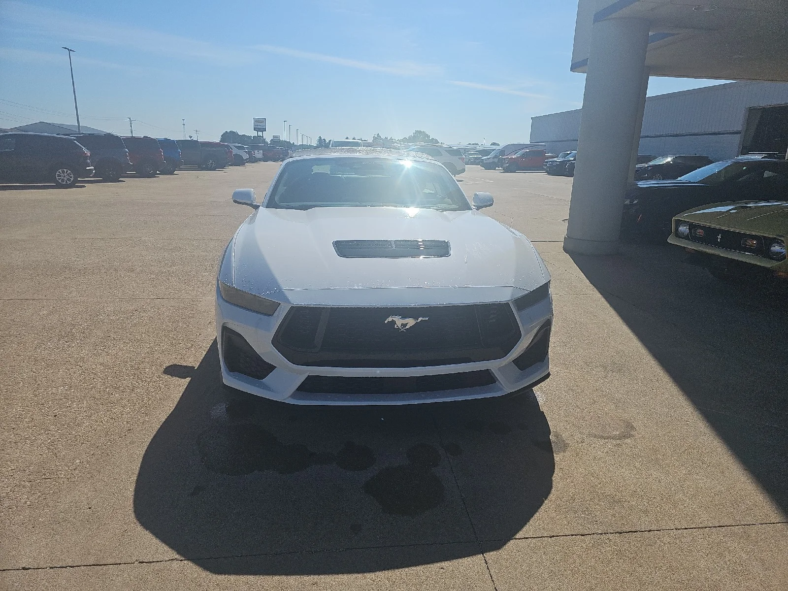 New 2026 Oxford White Ford GT Premium Convertible image 3