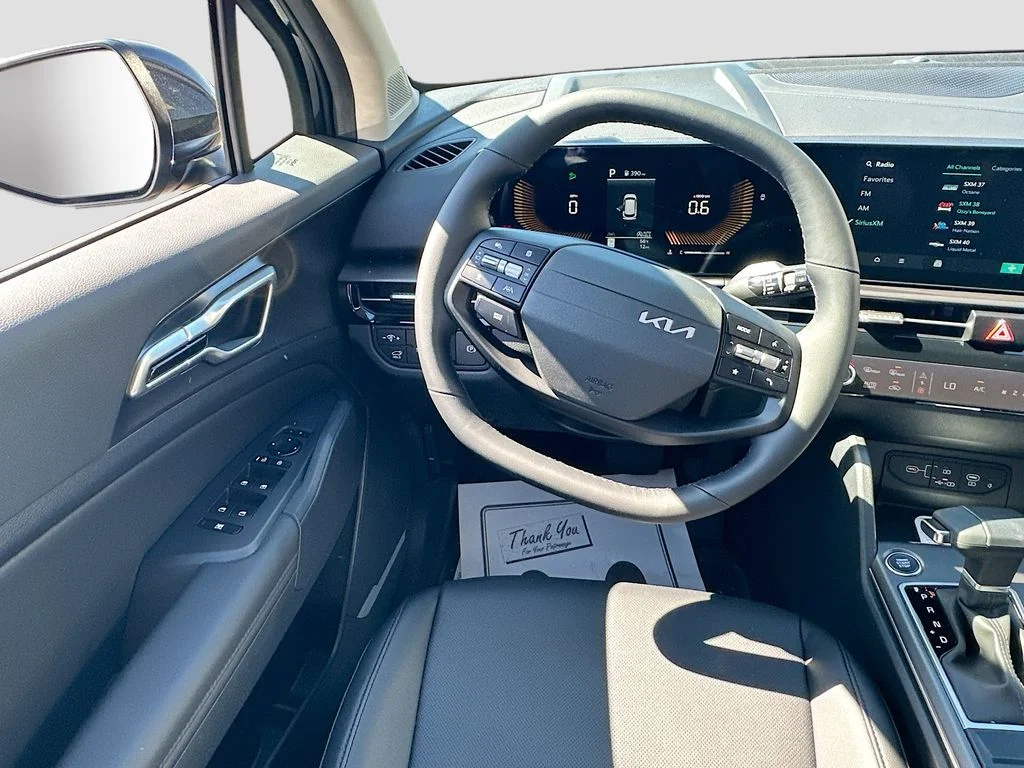 New 2026 Panthera Metal Kia EX image 22