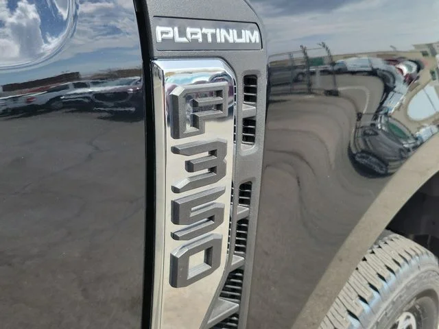 New 2026 Agate Black Metallic Ford Platinum image 7