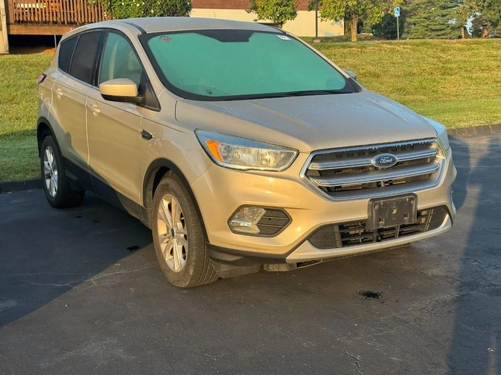 Used 2017 White Gold Metallic Ford SE image 2
