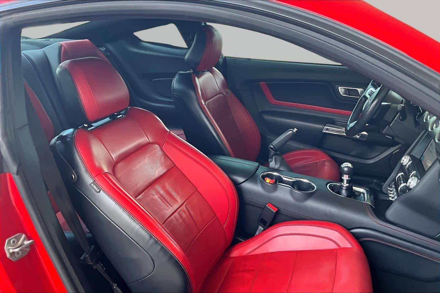 Certified Used 2019 Race Red Ford EcoBoost Premium image 8