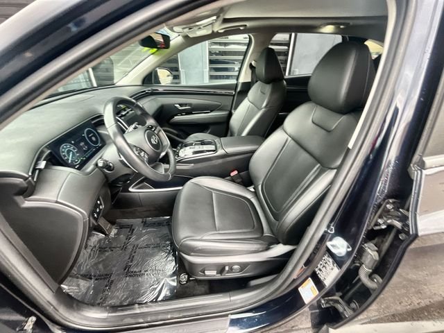 Used 2024 Blue Hyundai SEL Convenience image 11