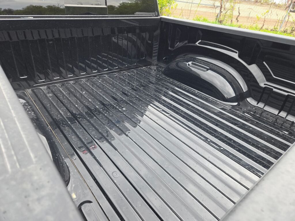 New 2026 Diamond Black Crystal Pearl-Coat Exterior Paint RAM Express image 16