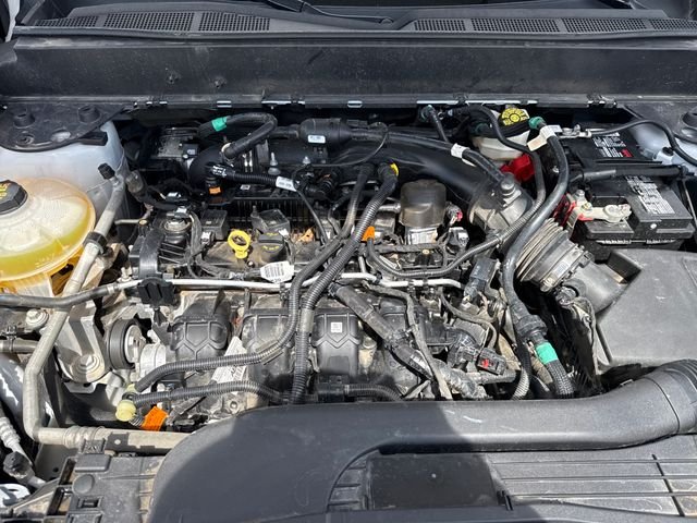 Used 2024 White Ford XLT image 25