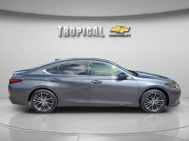Used 2022 Gray Lexus ES 350 image 6