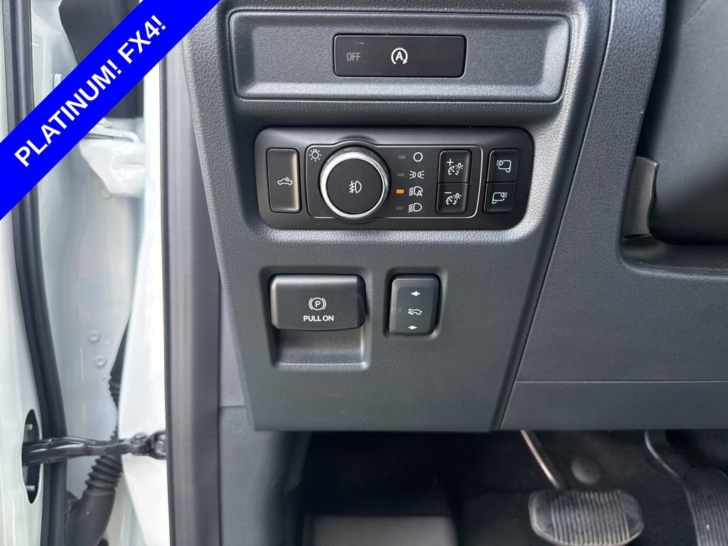 2025 Ford F-150 Platinum - Photo 31