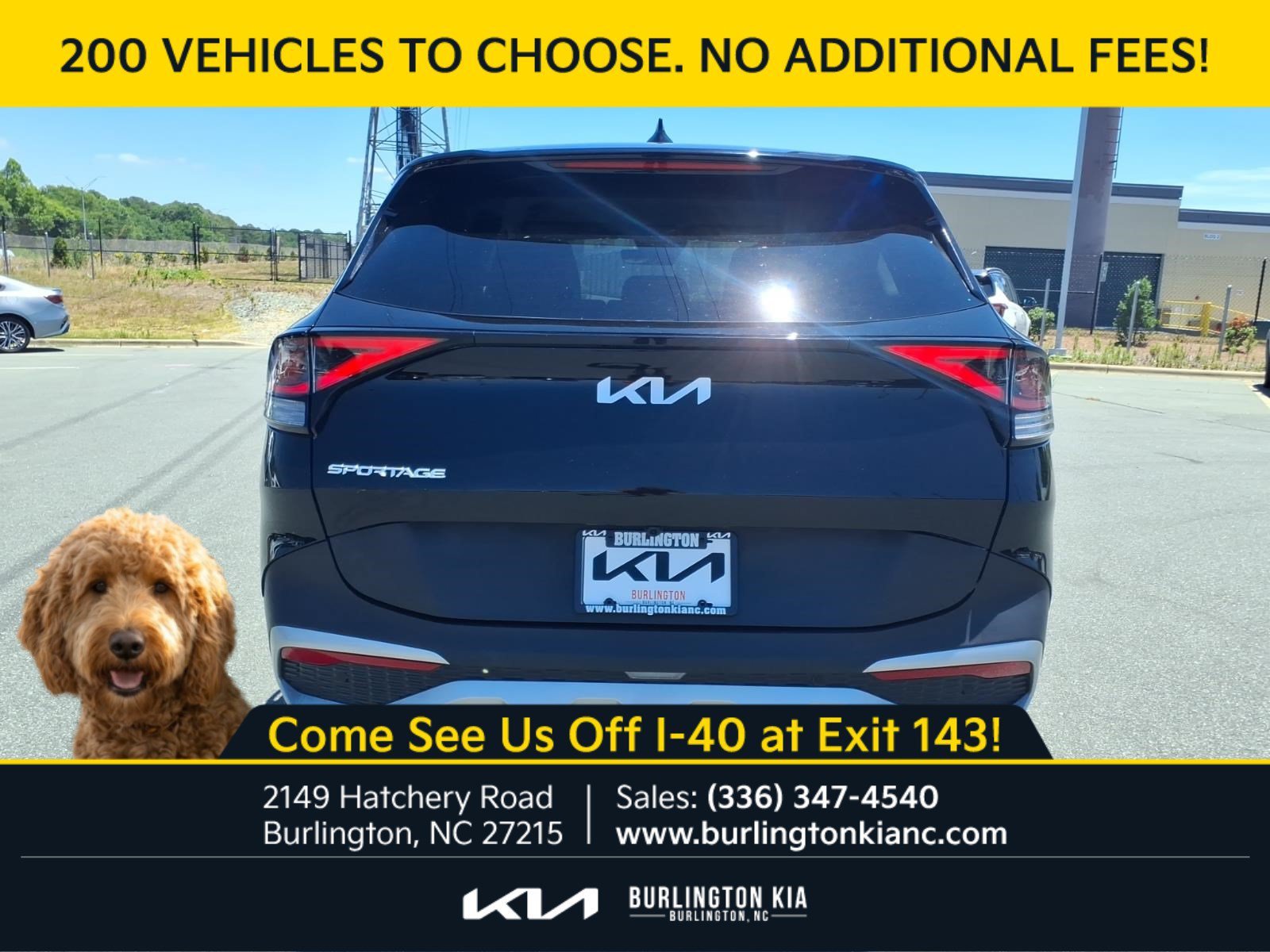 Certified Used 2024 Ebony Black Kia EX image 24