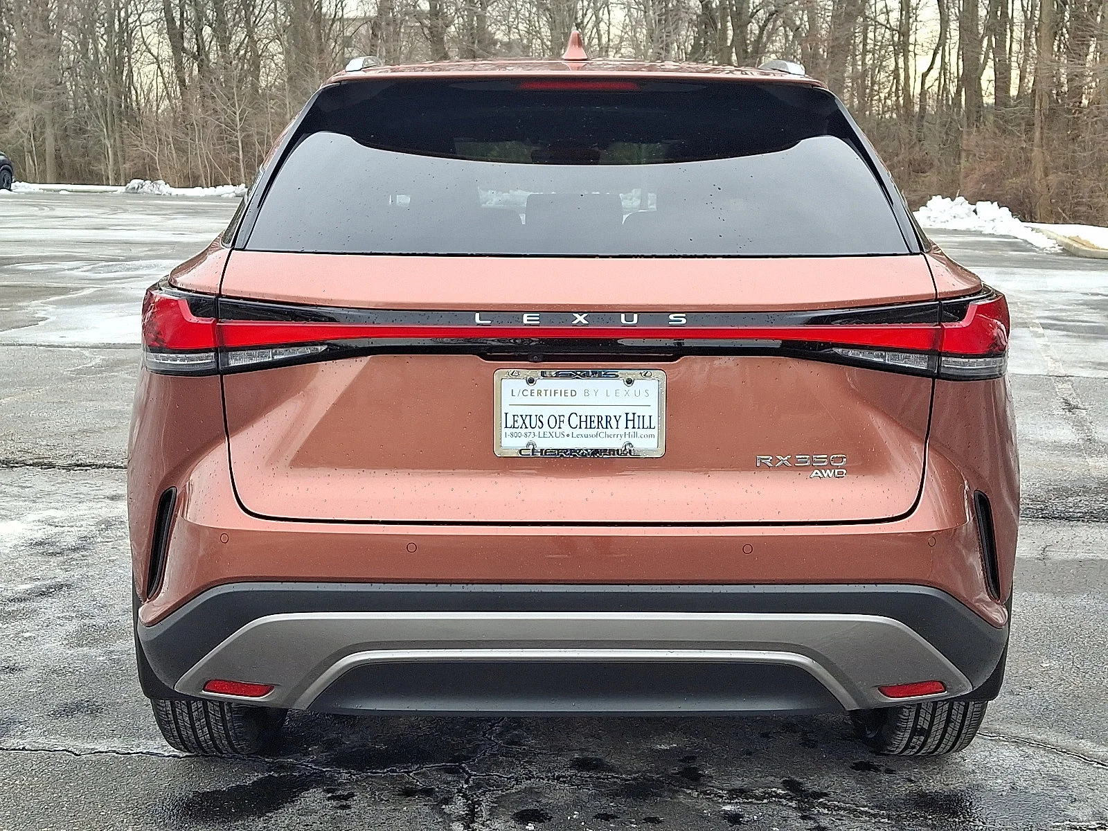 2025 Lexus RX 350 - Photo 5