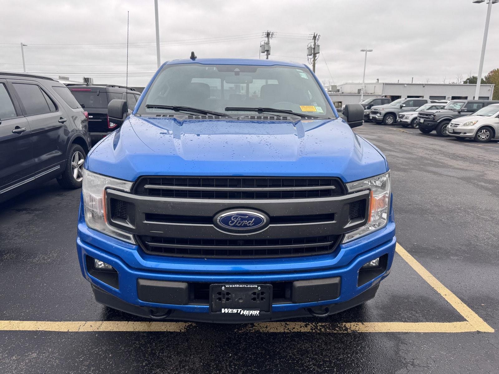 Used 2019 Velocity Blue Ford XLT image 2