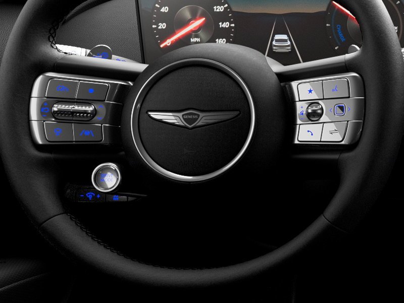 New 2025 Vik Black Genesis STANDARD image 14