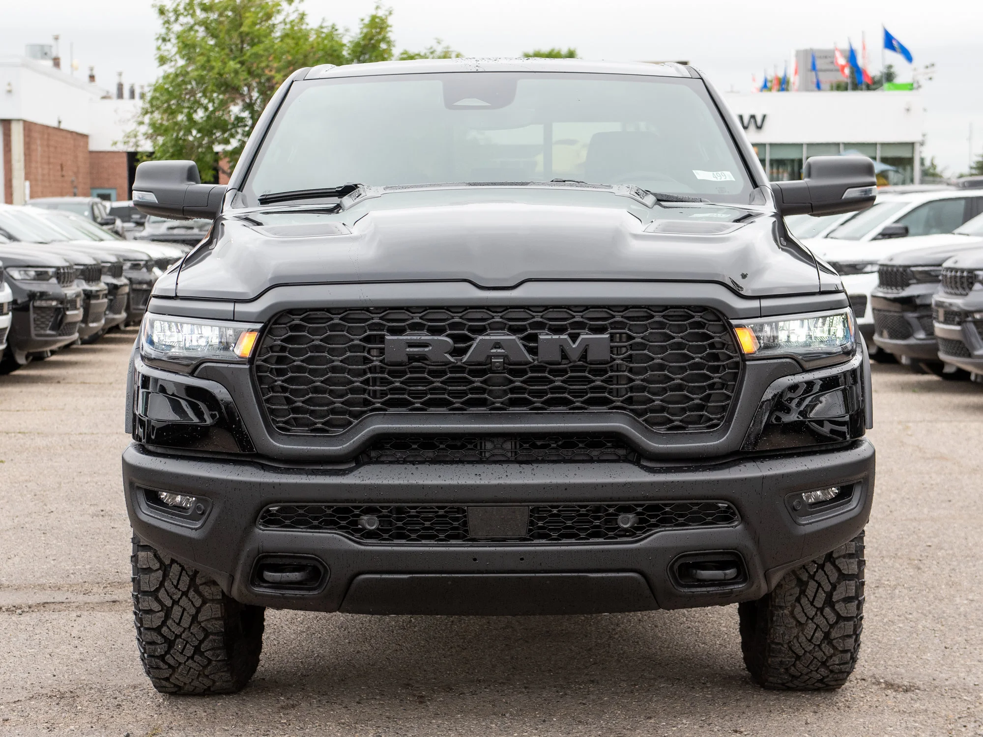 New 2026 Black RAM Rebel* image 9