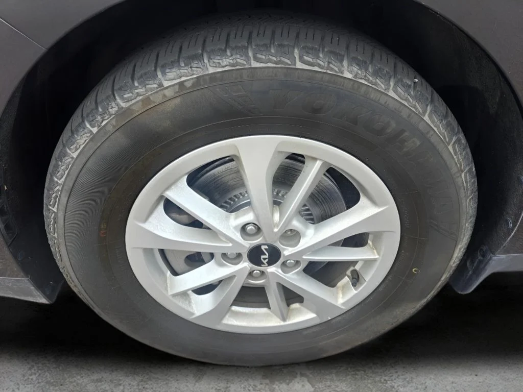 Used 2022 Pantera Metal Kia LX image 30