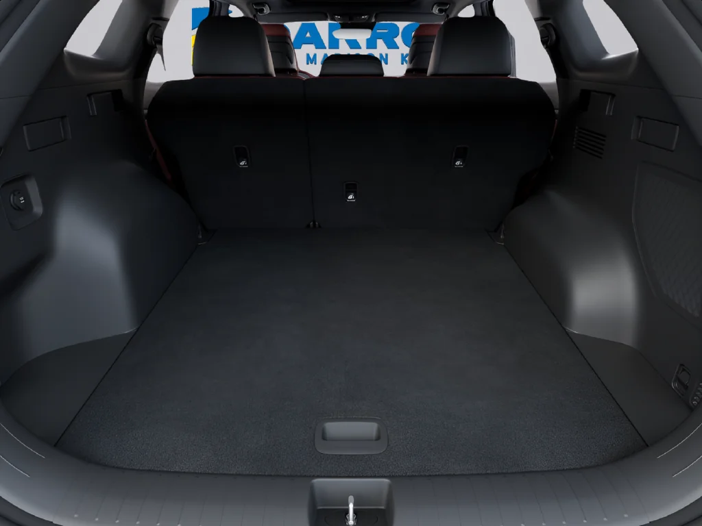 New 2027 Fusion Black Kia SX-Prestige image 19