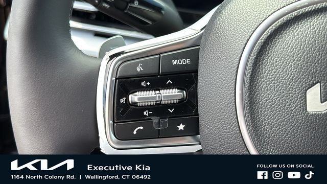 New 2026 Panthera Metal Kia SX Prestige image 13