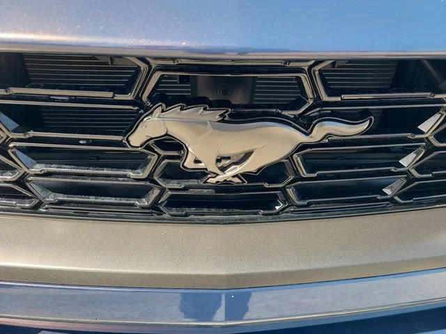 Used 2024 Gray Ford Dark Horse image 28