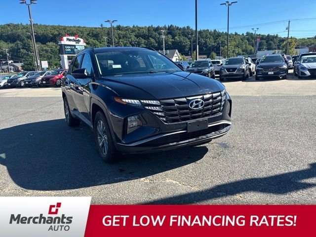 Used 2022 Blue Hyundai Blue image 1