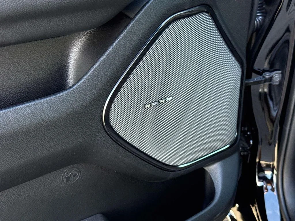 New 2026 Black Ram Rebel image 26