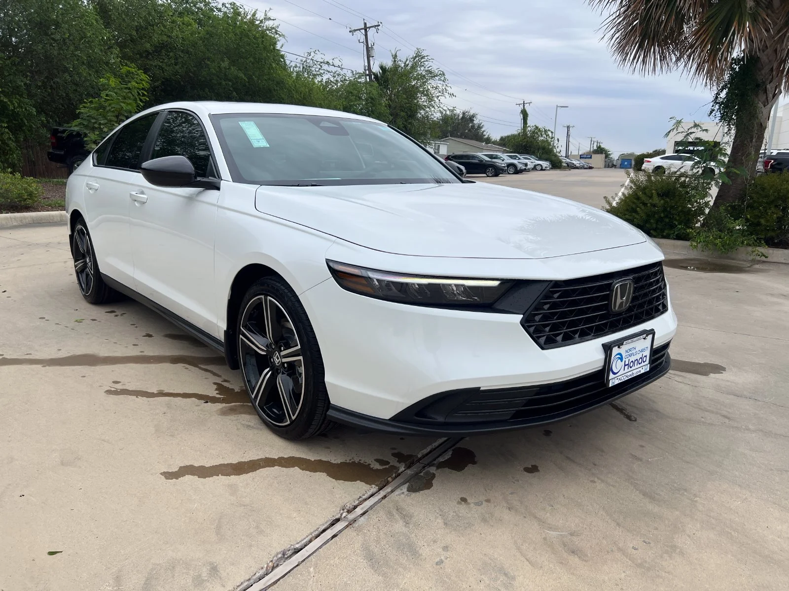 New 2026 Platinum White Pearl Honda Sport image 8