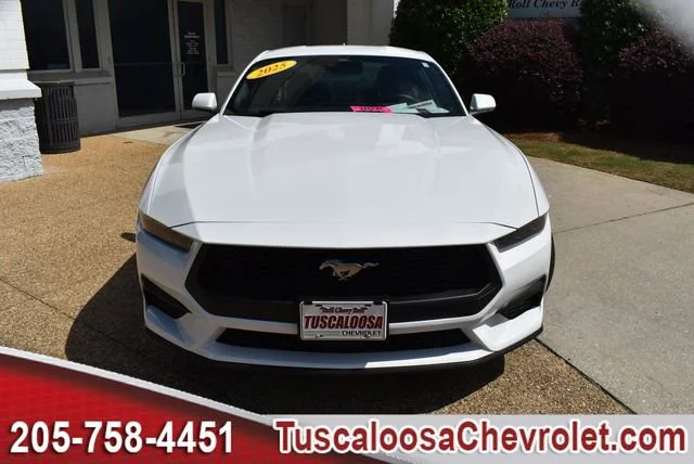 Used 2025 White Ford EcoBoost Fastback image 4