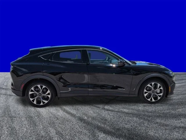 New 2026 Shadow Black Ford Select image 3