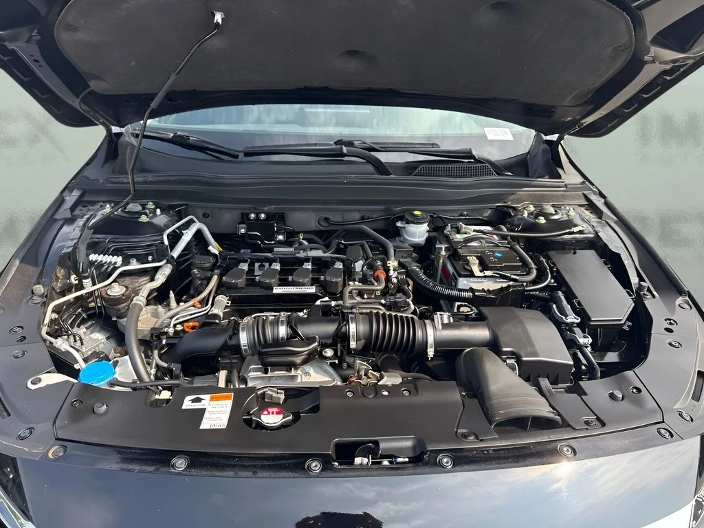 Used 2020  Honda LX image 19