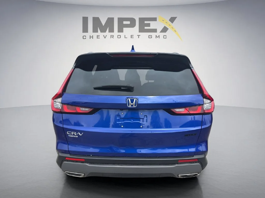 Used 2025 Blue Honda Sport image 6