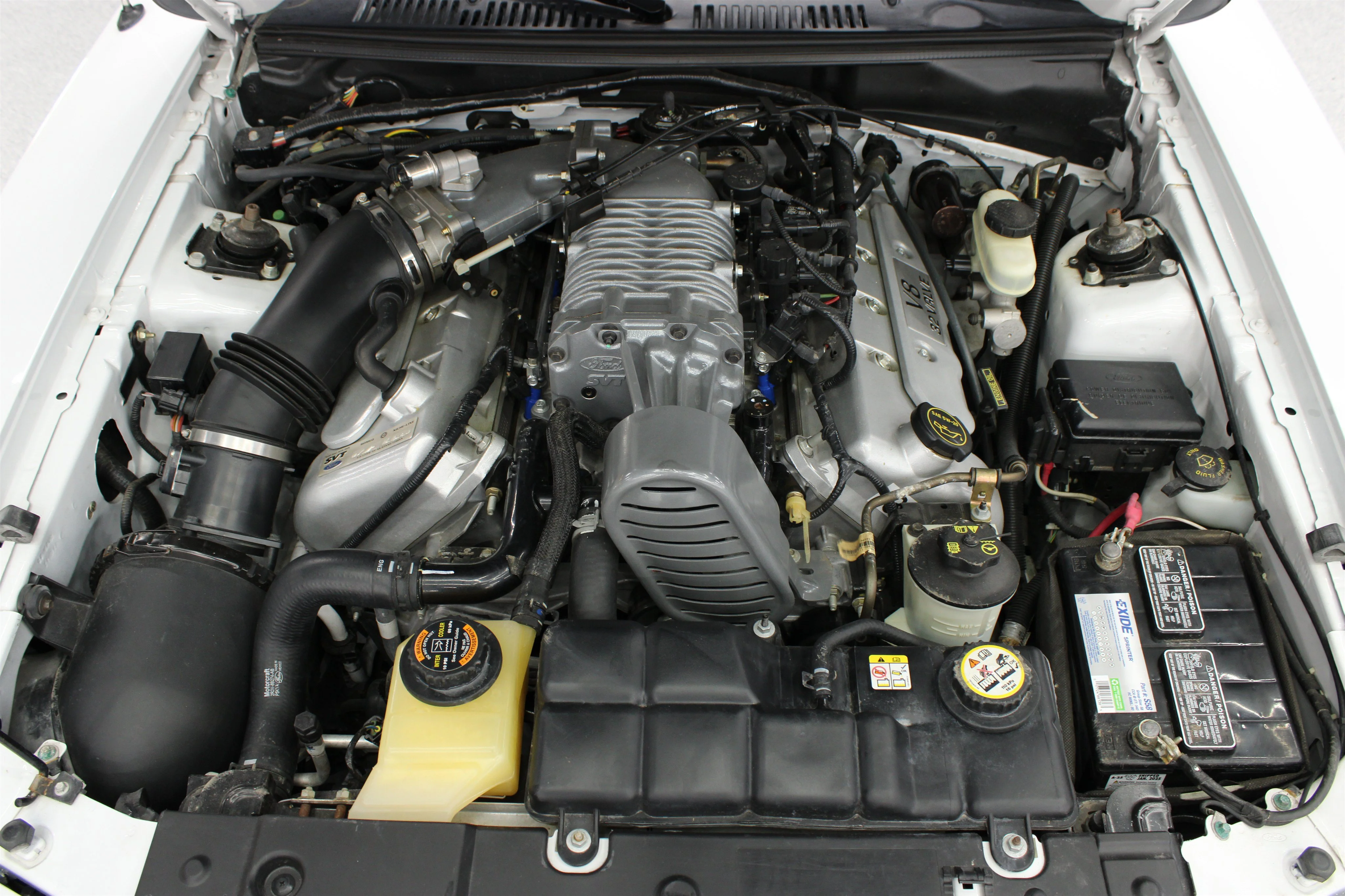 2004 Ford Mustang Cobra SVT - Photo 29