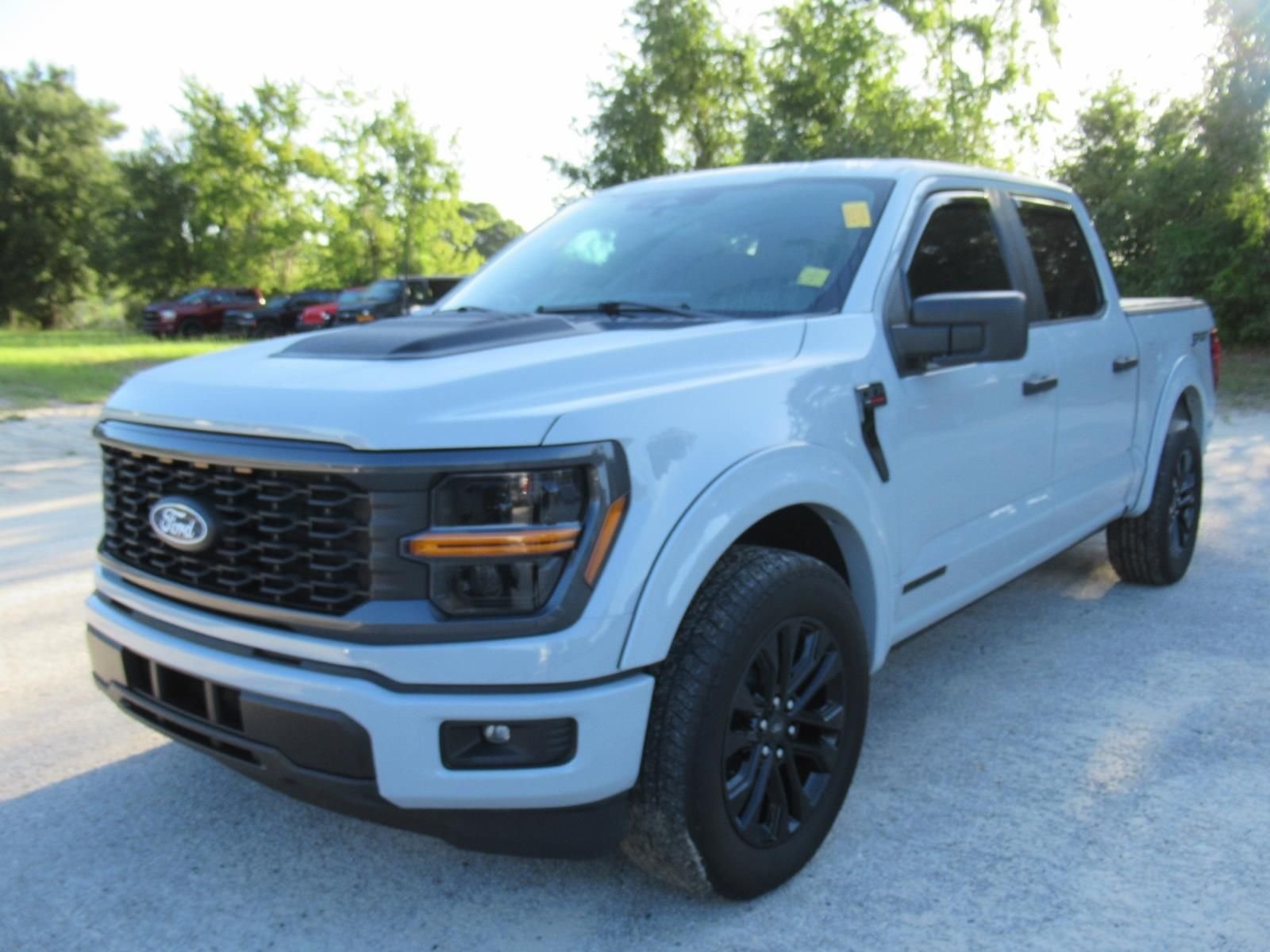 Used 2024 White Ford STX image 2