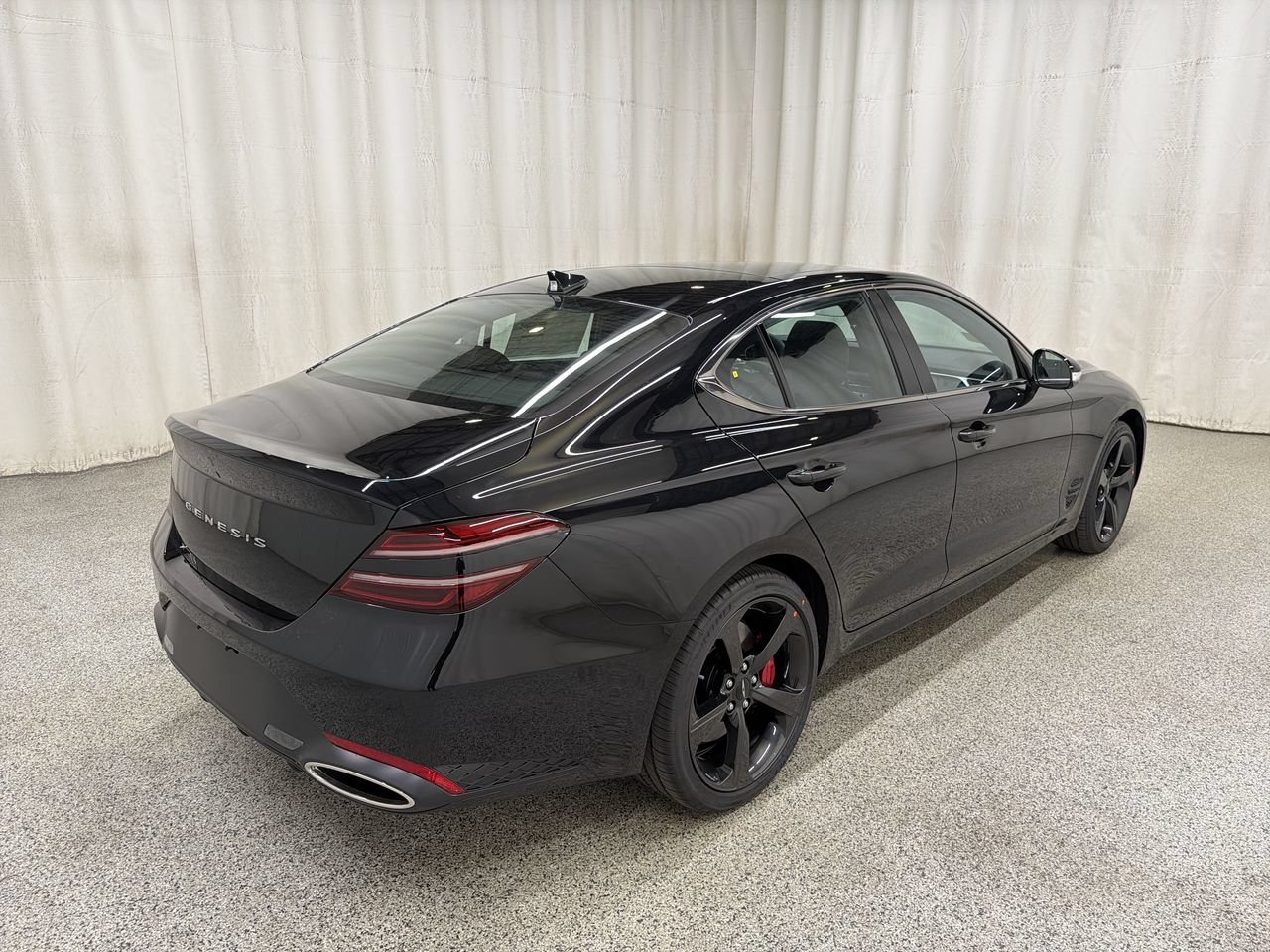 New 2027 Vik Black Genesis Standard image 8